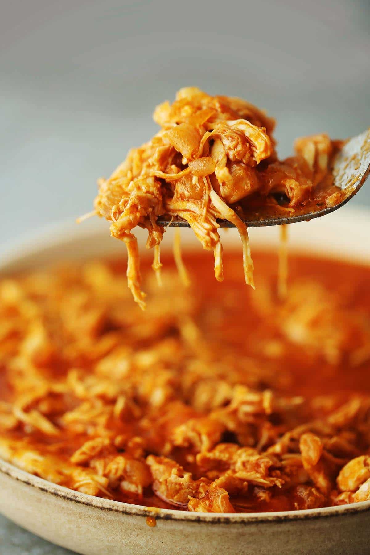 close up image of fork with pulled chicken meat