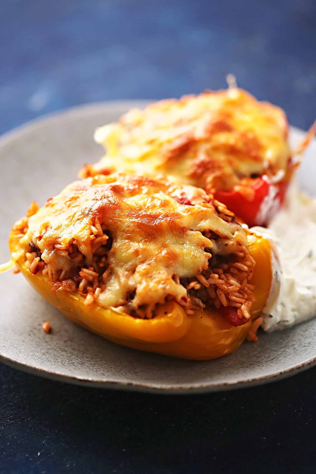 white plate with stuffed peppers topped with melted cheese