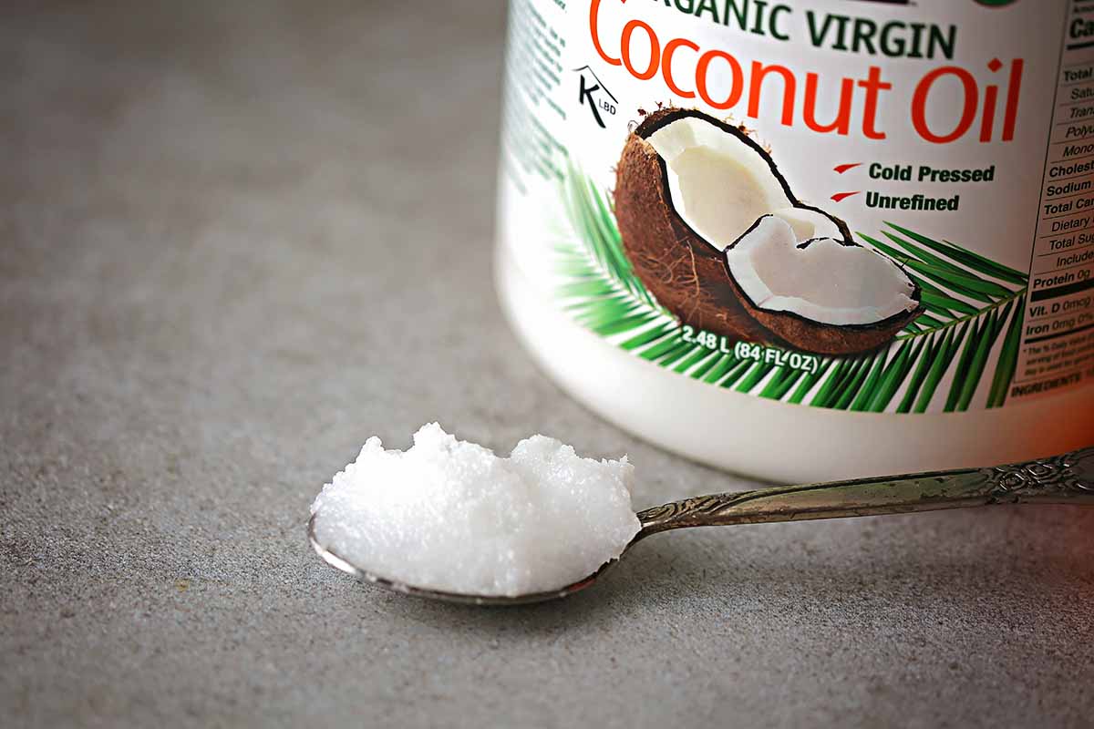 grey table top with spoon full of white  oil and white jar with coconut image labeled "coconut oil"