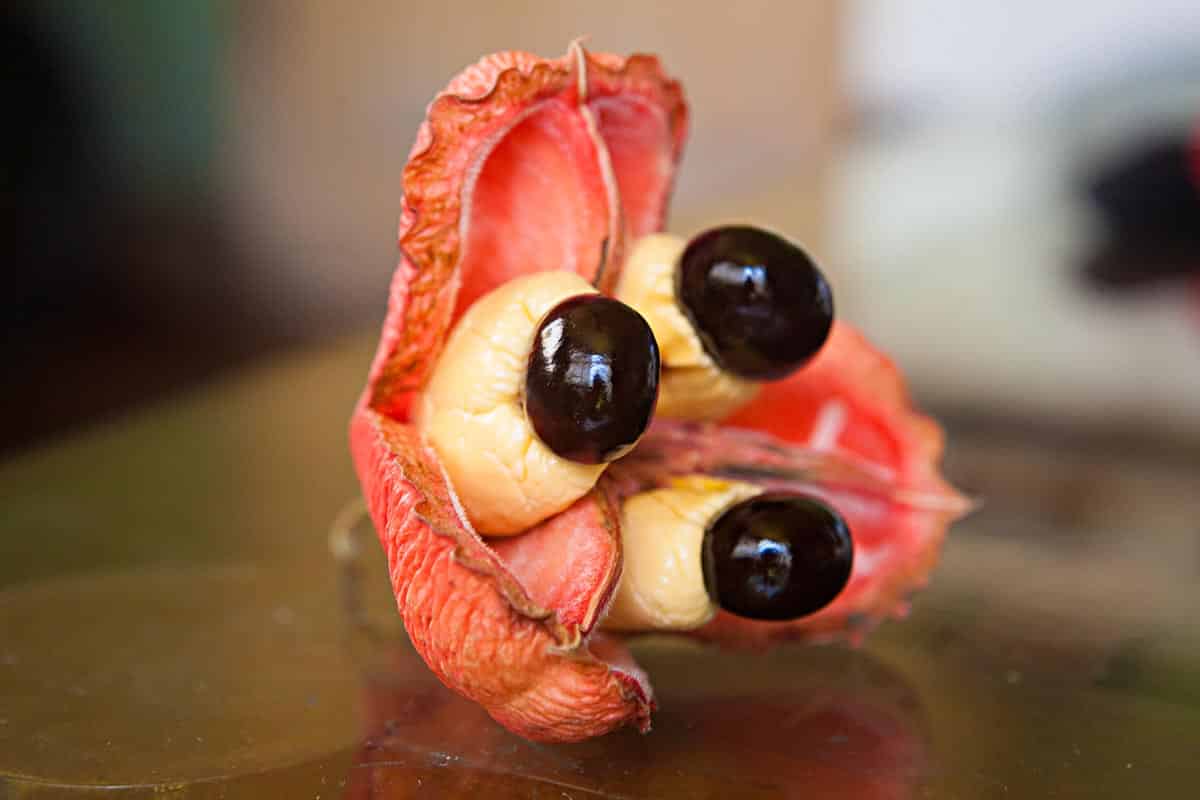 ackee fruit on the table