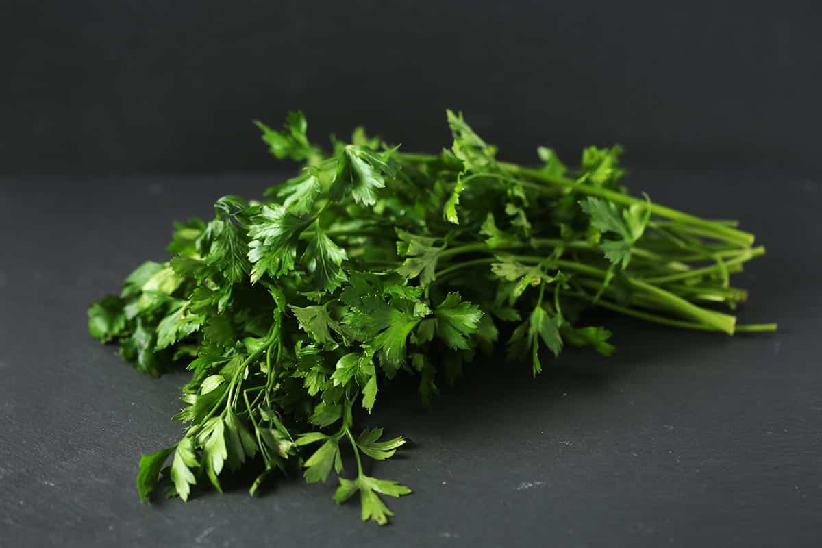 black background with a bunch of fresh parsley.