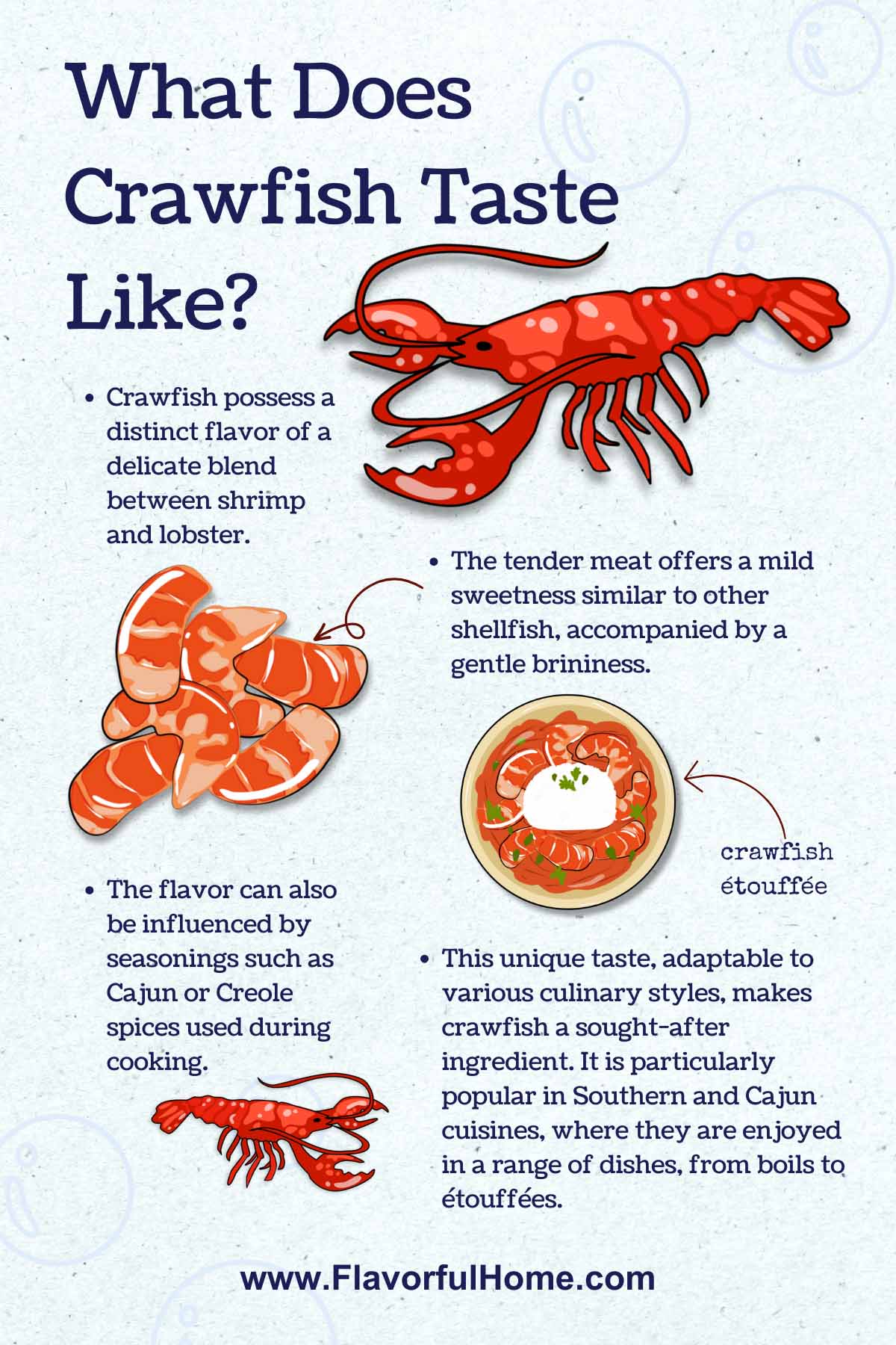 Infographic showing crawfish with notes about this seafood. 