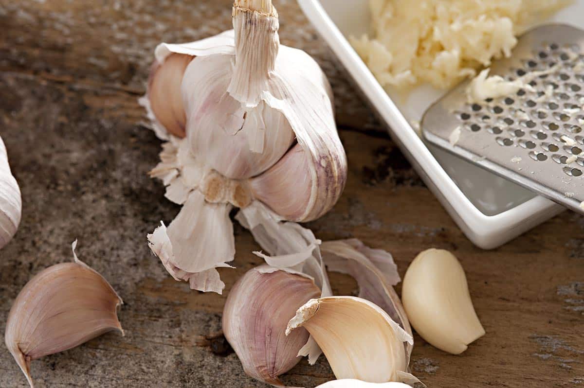 Dish with minced garlic and grater and garlic cloves next to it.  