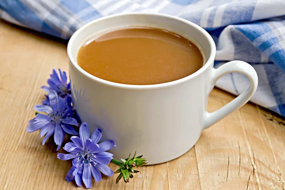 Chicory drink with purple flower next to it. 