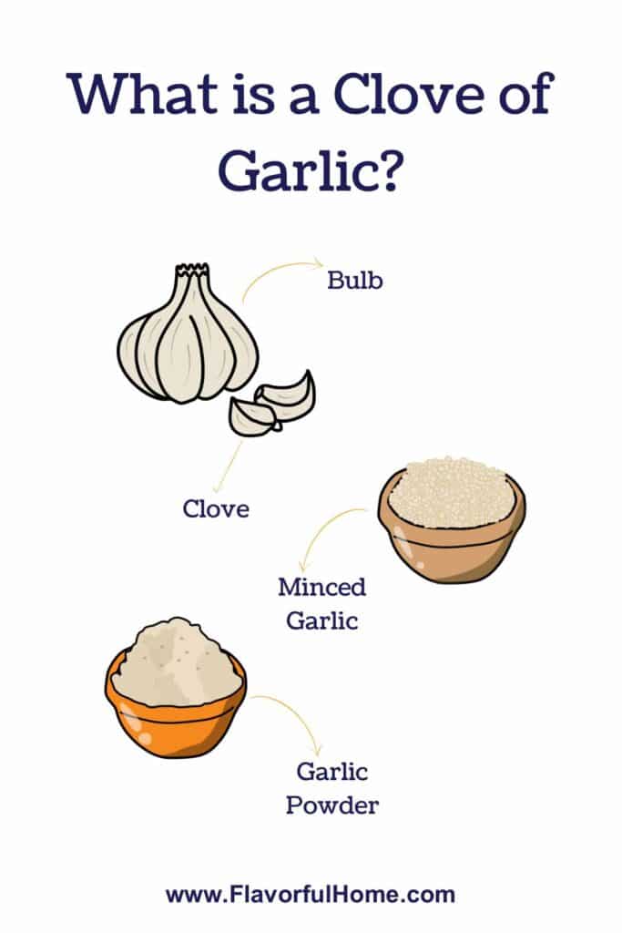 Infographic showing visually what is a clove of garlic.