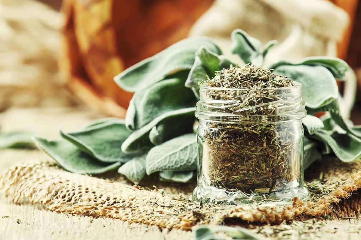 Glass jar filled with dried sage spice next to fresh sage. 