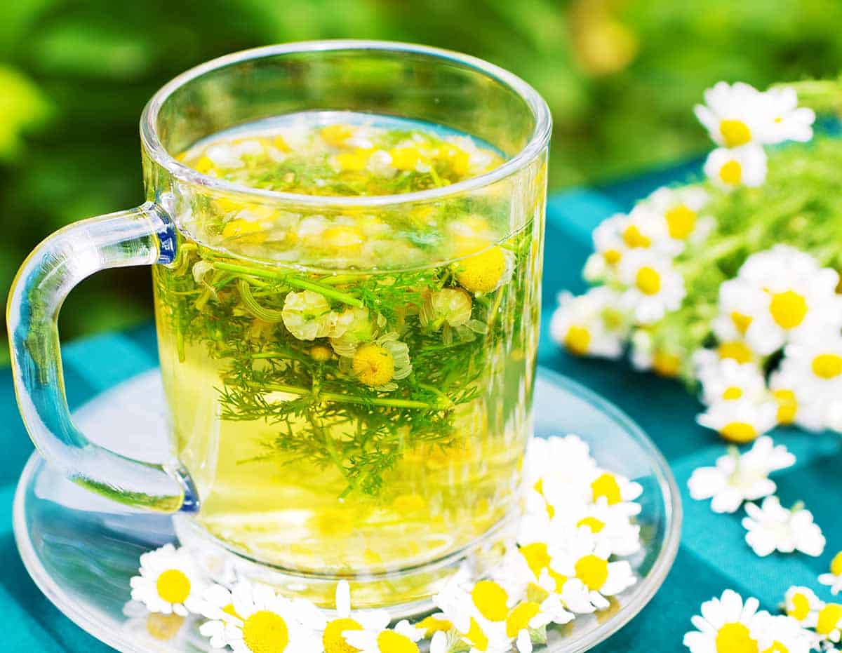 Glass cup filled with Chamomile tea and Chamomile flowers next to it. 