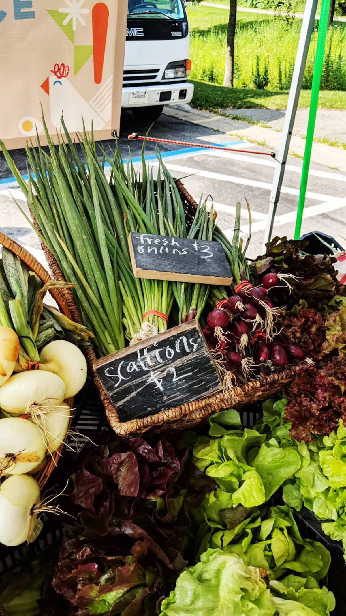 Scallions and other greens at the fresh market stand. 