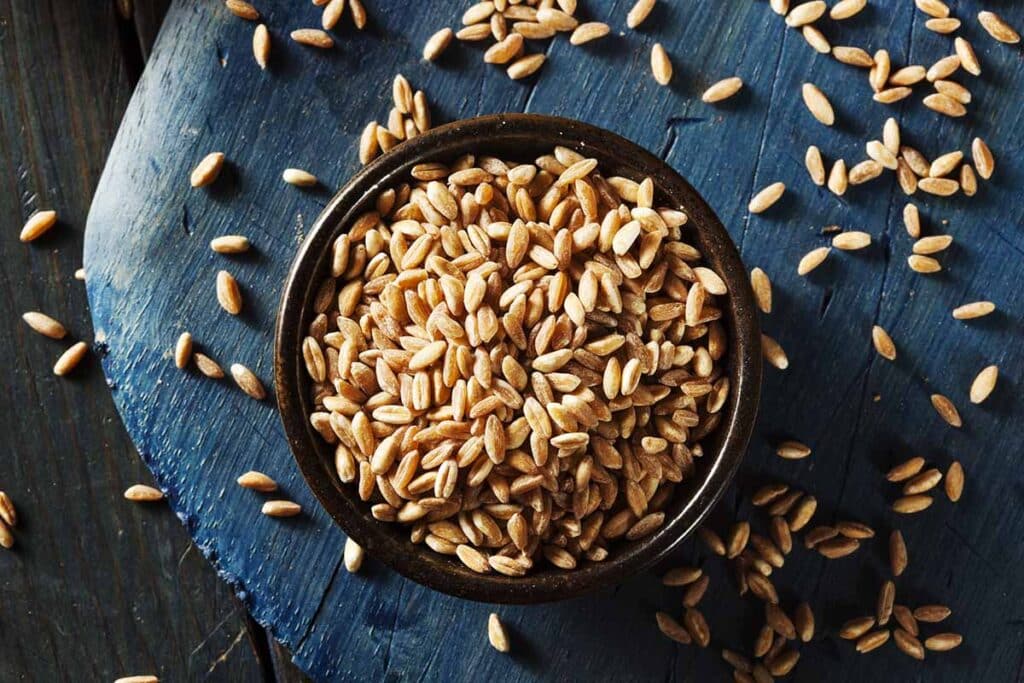 Wheat berry grain in the bowl on the blue background. 
