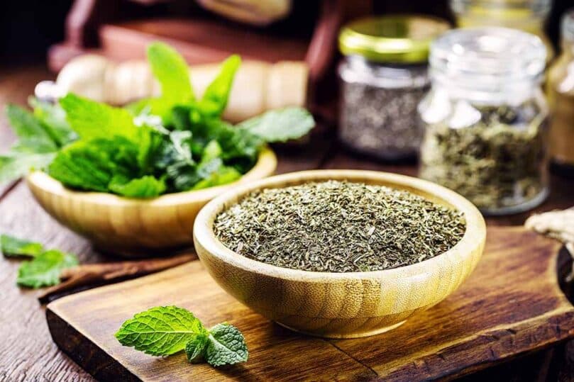 Substitute Of Mint Leaves