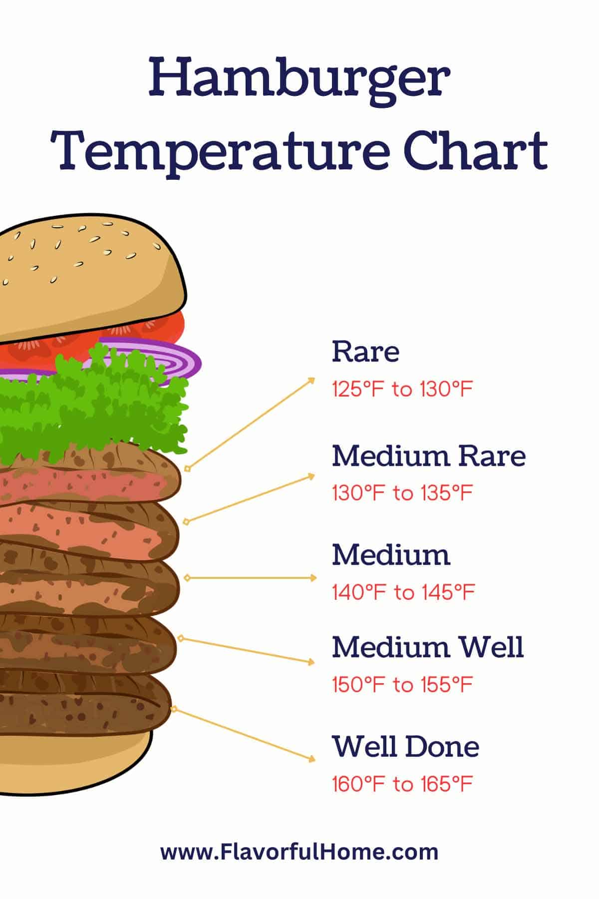Infographics of hamburger temperature chart showing different level of doneness. 