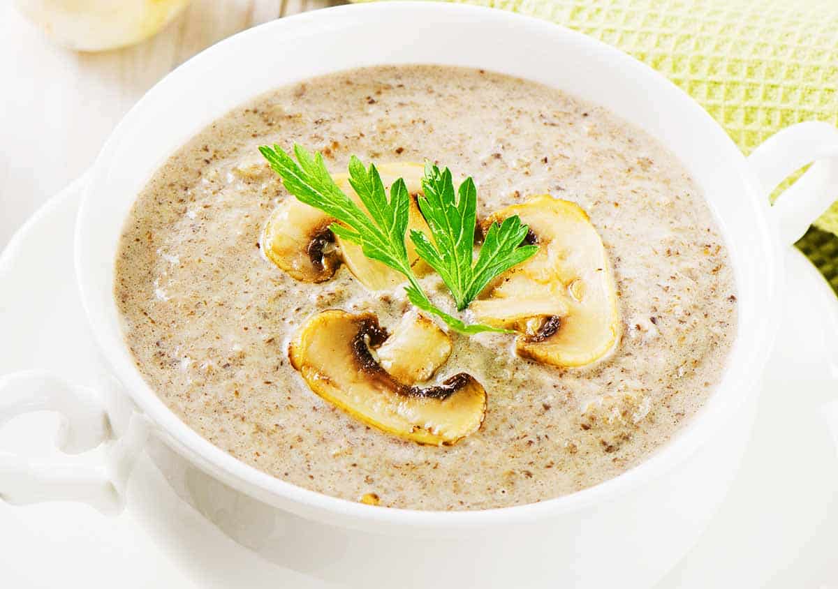 White bowl with cream of mushroom soup. 