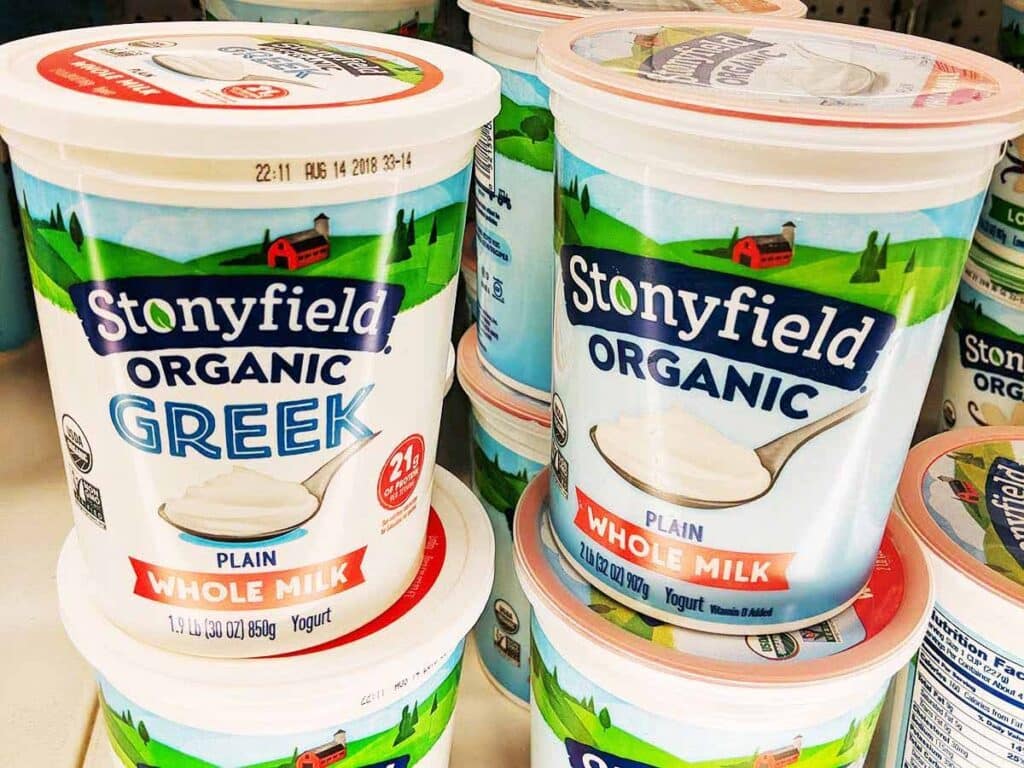 Yogurt Milk Substitute