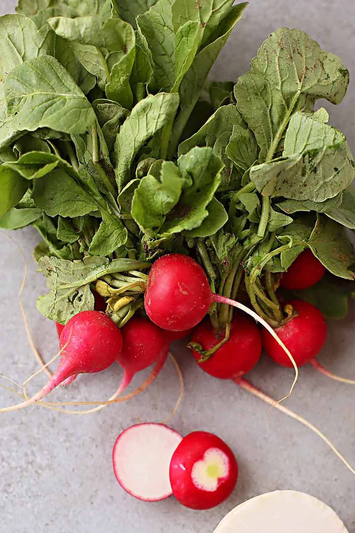 Bunch of radishes on the gray background. 